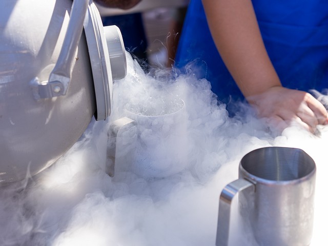 Workshops Fruit Popsicles with Nitrogen, 